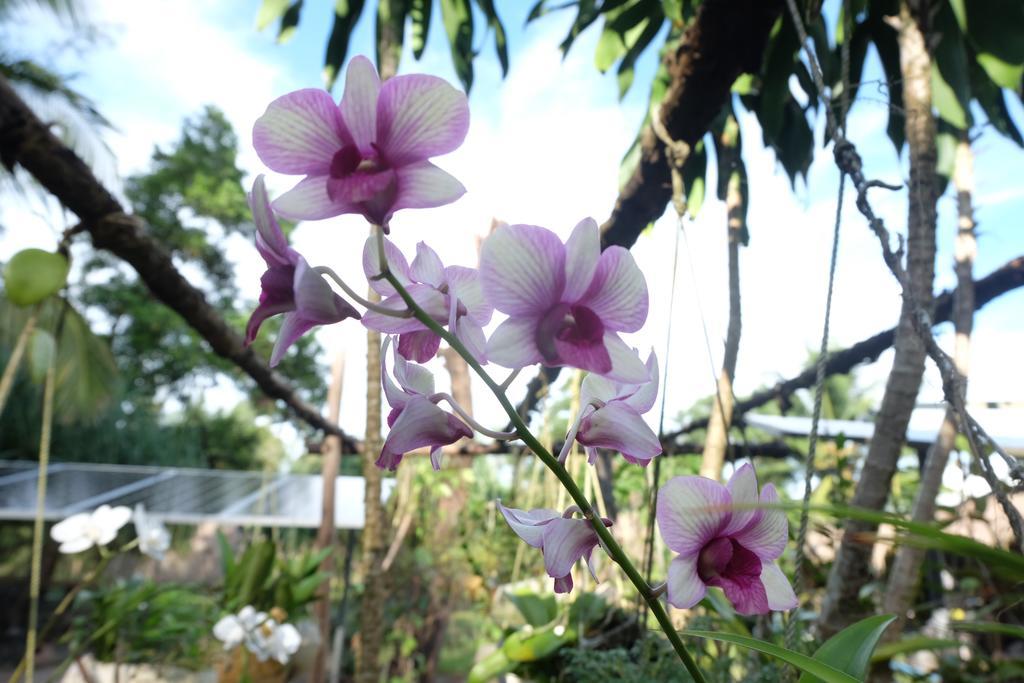 攀牙朝伊先生酒吧和小屋 Ko Phra Thong 外观 照片